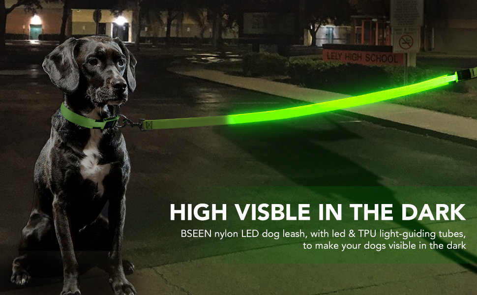 BSEEN LED Lighted Dog Leash USB Rechargeable Nylon Puppy Lead, Safety Dog Lights