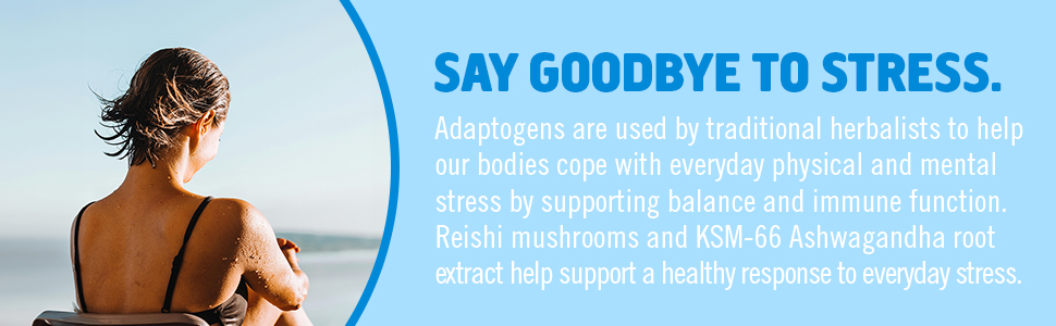 mushroom, gummy, relax, stress
