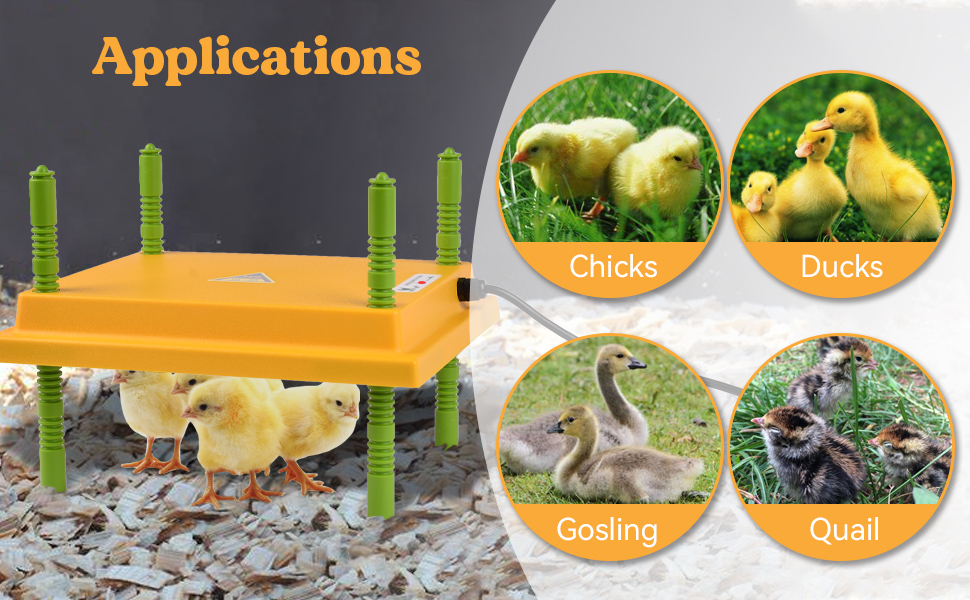 Chick Brooder Heating Plate, Adjustable Height Chicken
