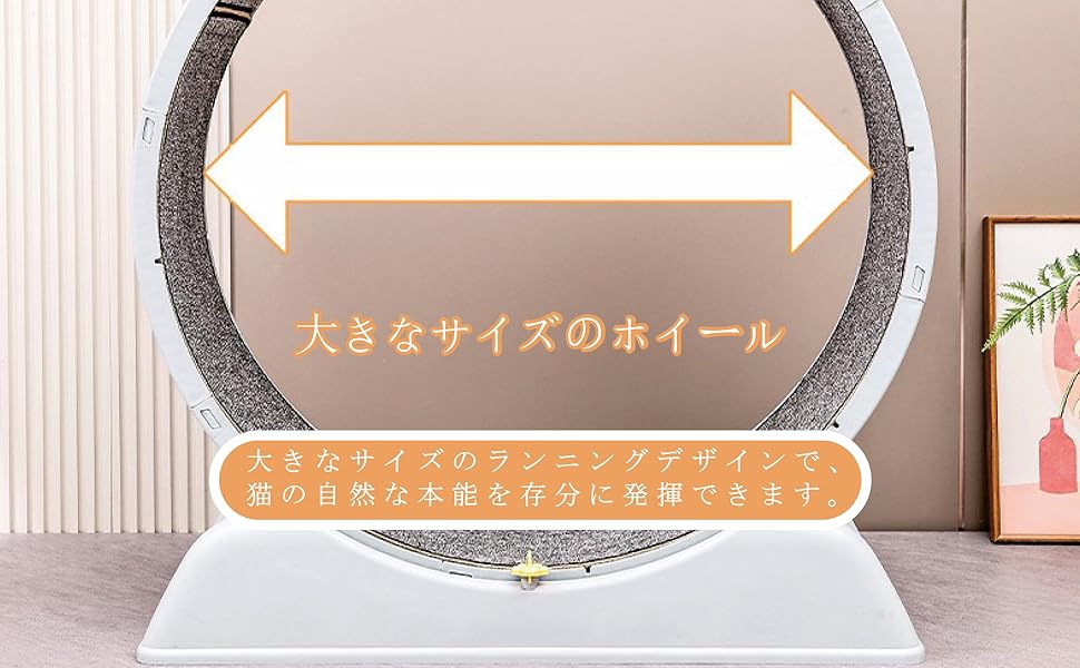 サイズ