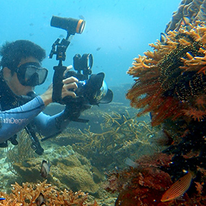 Small manufacture image 7