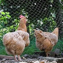 Small manufacture image 8