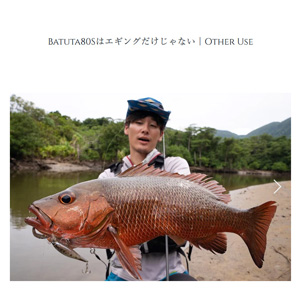 Amazon | 【TRANSCENDENCE/トランスセンデンス】Batuta 80S