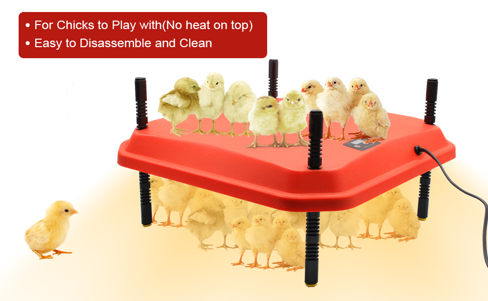GIFANK Chicken Brooder Heating Plate for Chicks and