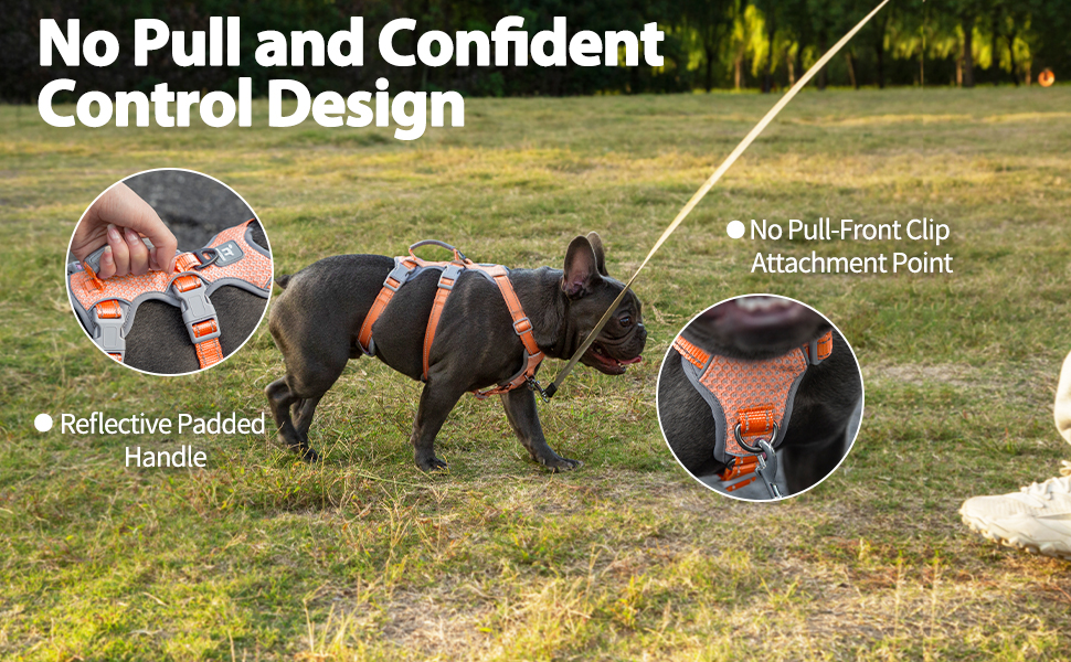 Escape Proof Harness for Dogs,No Escape Dog Harness,No