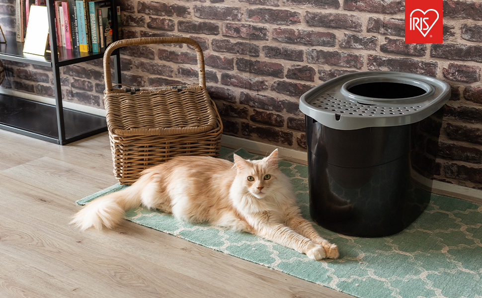 Iris Ohyama Cat Litter Box with Scoop, Up to 7kg, Black/Gray, Top Entry