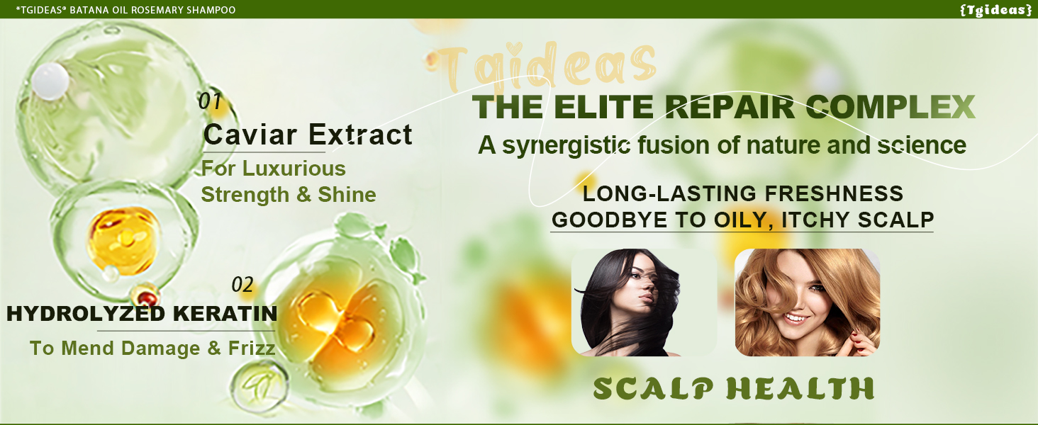 The Elite Repair Complex