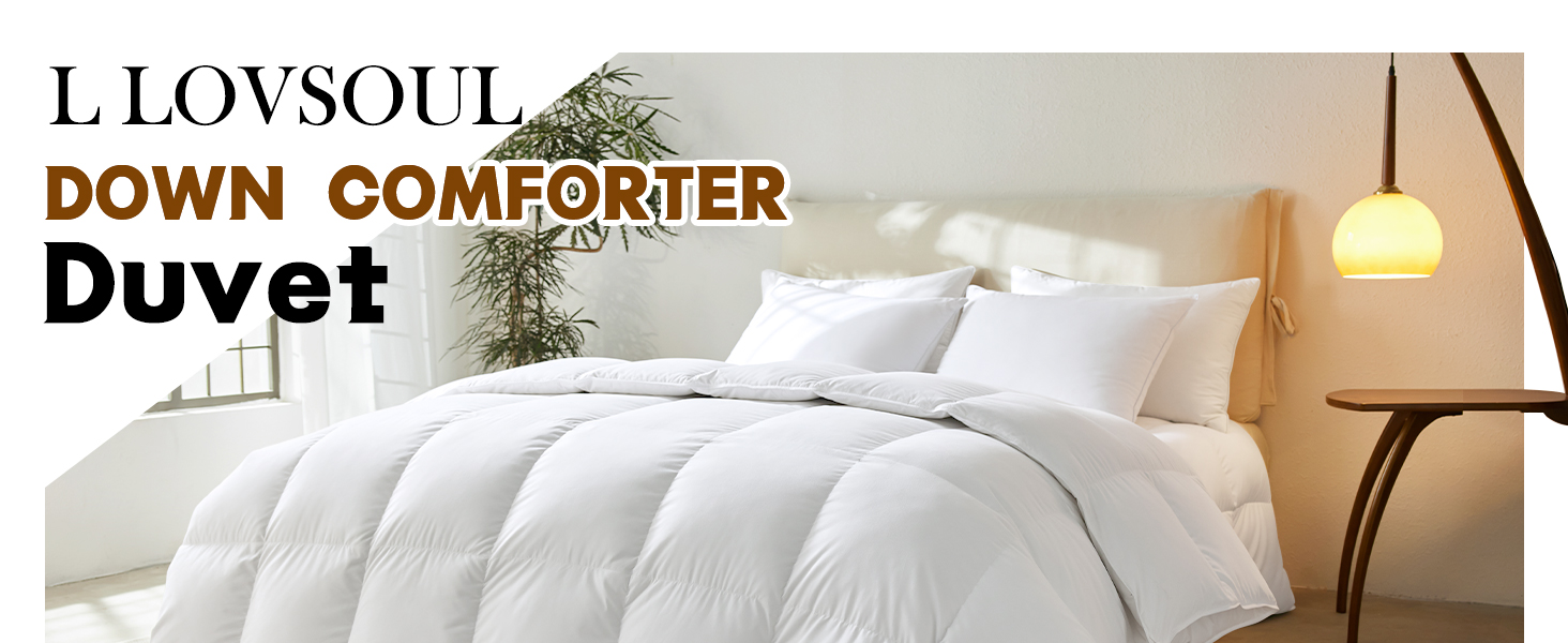 L LOVSOUL 75% Goose Down Fiber King Size Comforter, Fluffy Ultra Soft & All Season White Duvet Insert for Ultimate Co 976bcd37 Cf76 4490 B811 Ff8d3cd60418. CR0,0,1464,600 PT0 SX1464 V1