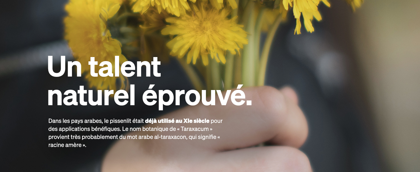 Des mains tenant un bouquet de pissenlits jaunes. Texte blanc superposé en français : « Un talent naturel éprouvé ». (Un talent naturel qui a fait ses preuves.)