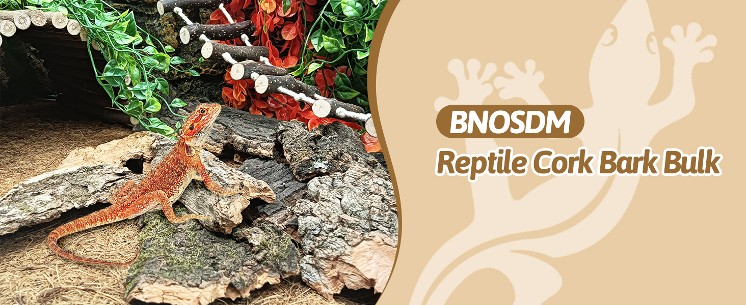 Reptile Cork Bark Bulk