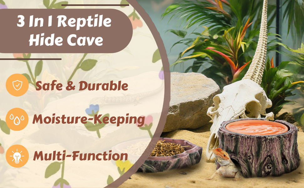 Reptile Hide Cave