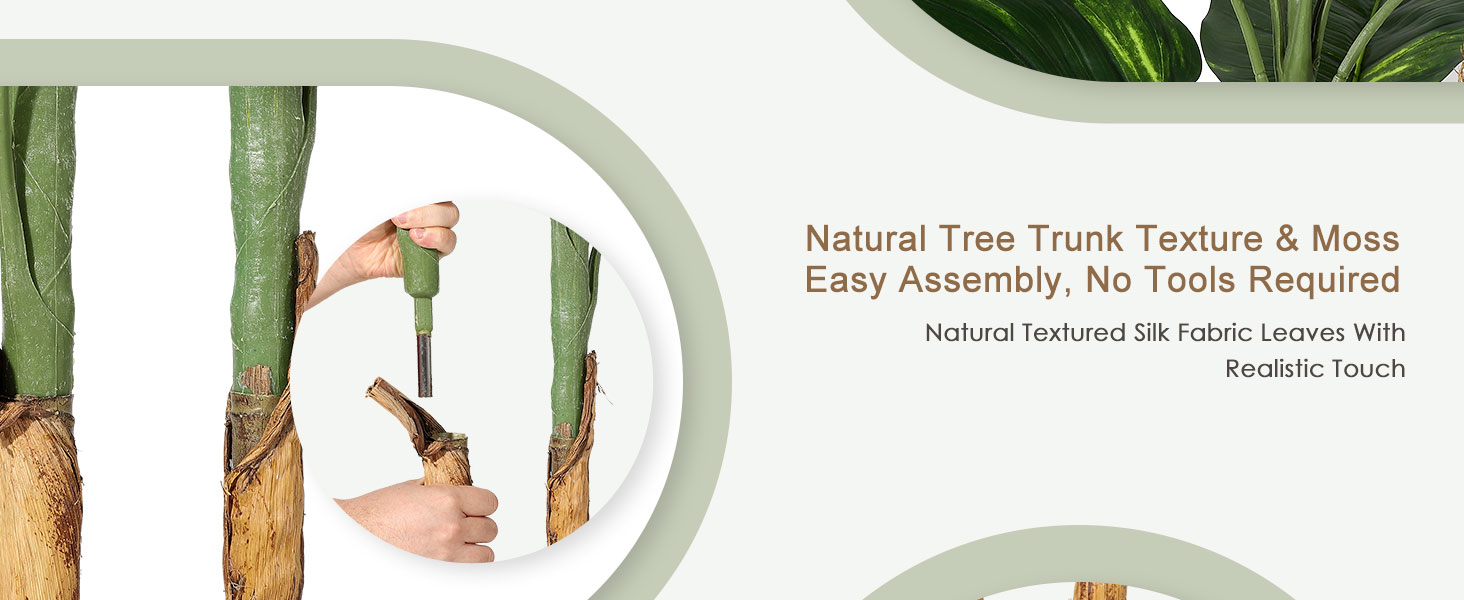 Scindapsus Aureus Tree