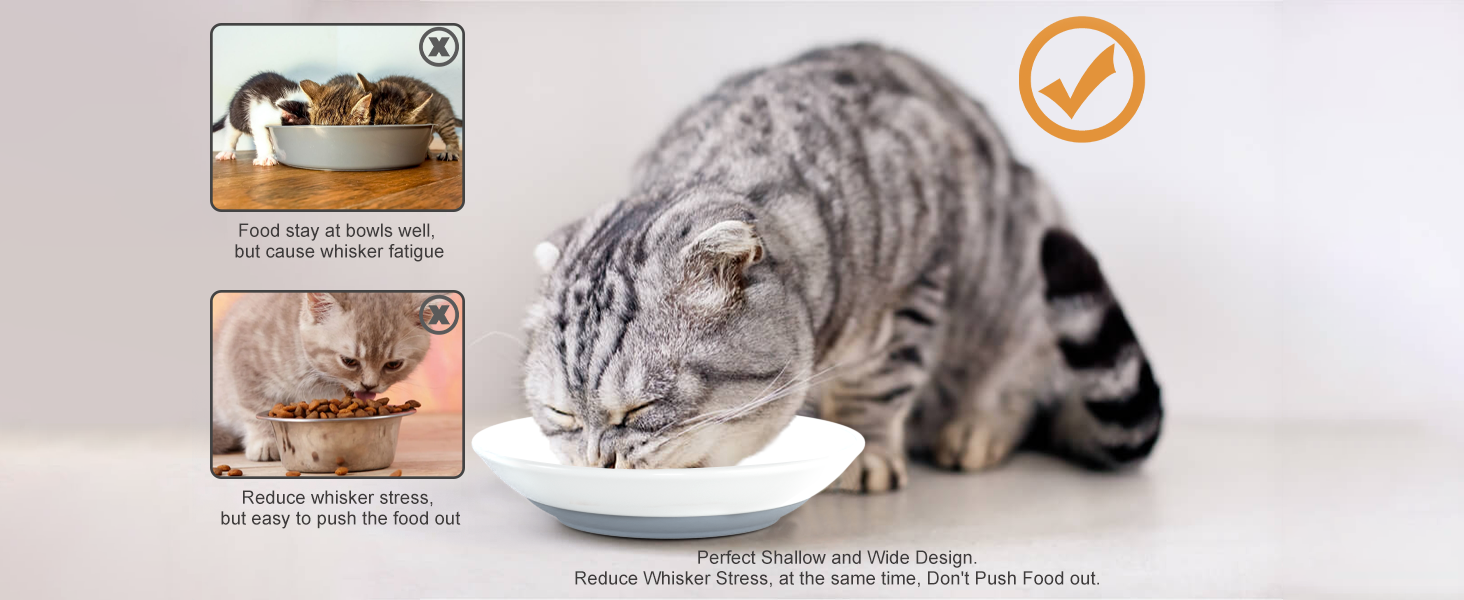 Cat Food Bowls,Ceramic Cat Food Bowls for Indoor Cats,Non