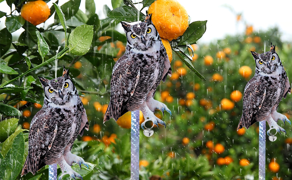 Vicsiyi Owls to Keep Birds Away, 3Pcs Fake Owls with