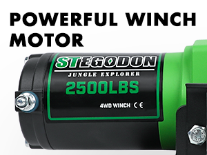 winch motor