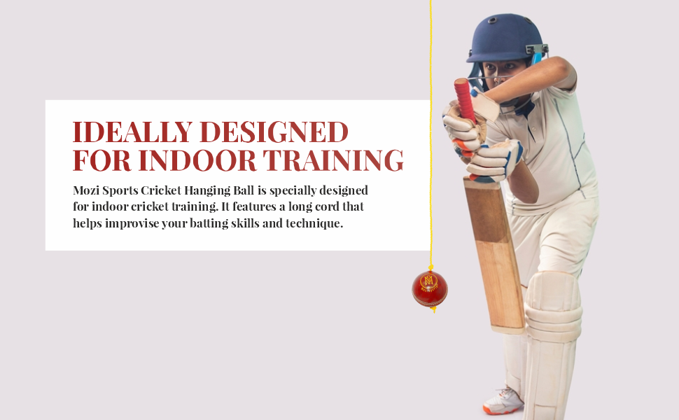 String Cricket Balls Develop HandEye Coordination Leather Hanging Ball for Practice Amazon