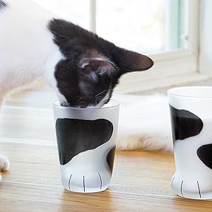 Amazon | タンブラー ここねこグラス coconeco 親猫 [ 300ml / 4