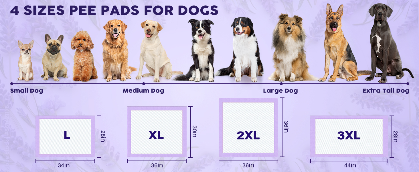MIZOK Lavender Scented Pee Pads for Dogs 30x36in XL Dog