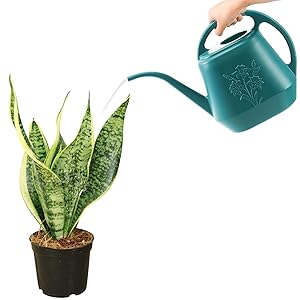 watering can