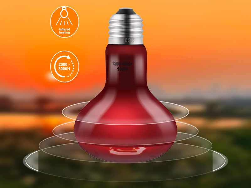  UVA Basking Bulb and Infrared Light Bulb Combo