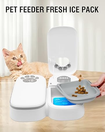 Cat Feeding Box