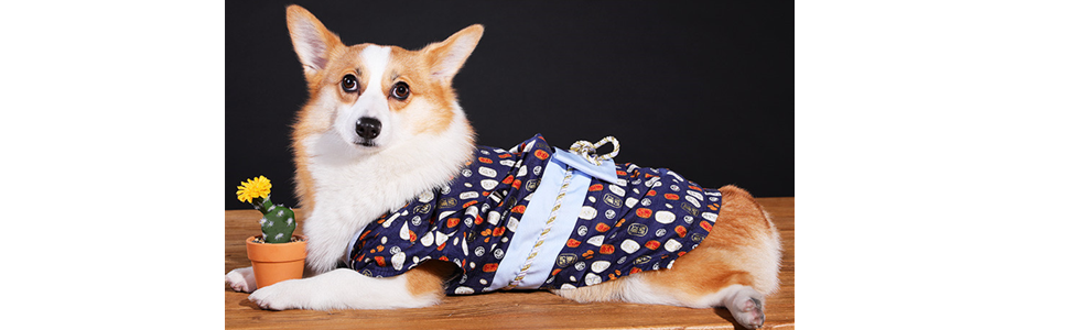 犬 着物 浴衣 コンビニ受取対応商品 犬用着物 夏霞