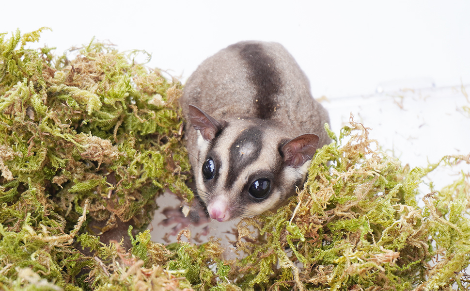 Large manufacture image 4