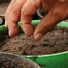 Small manufacture image 3