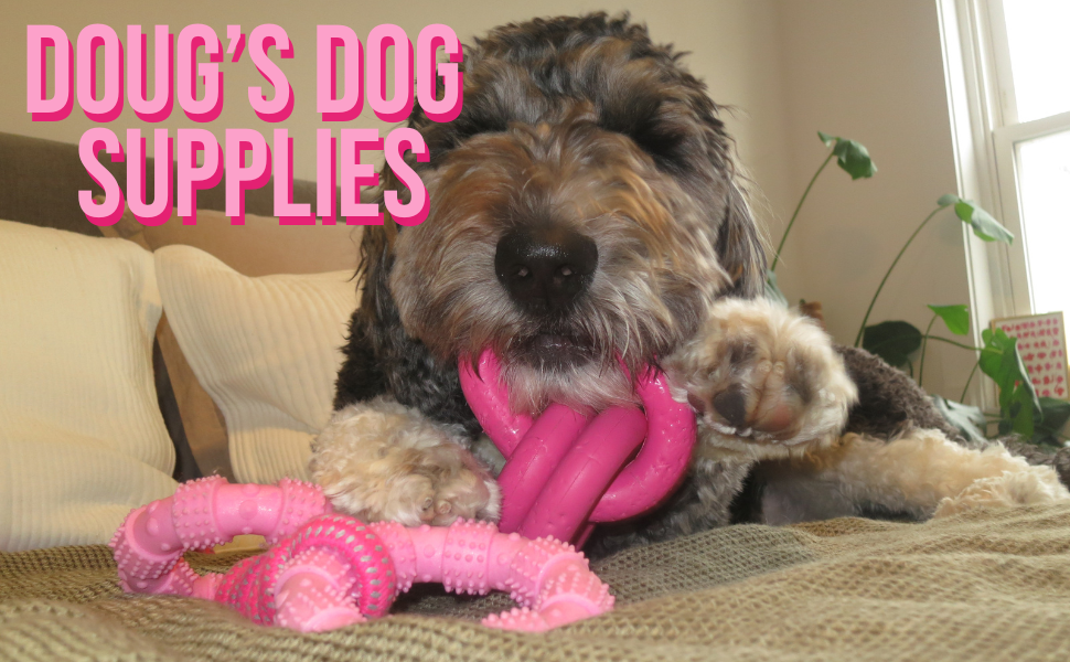 interactive dog toys, chuck it balls, puppy essentials, puppy teething toys, puppy toys
