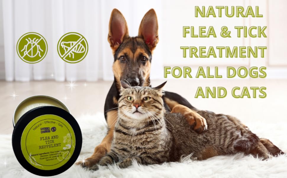 100 Natural Cat & Dog flea treatment Flea Treatment for Dogs Flea