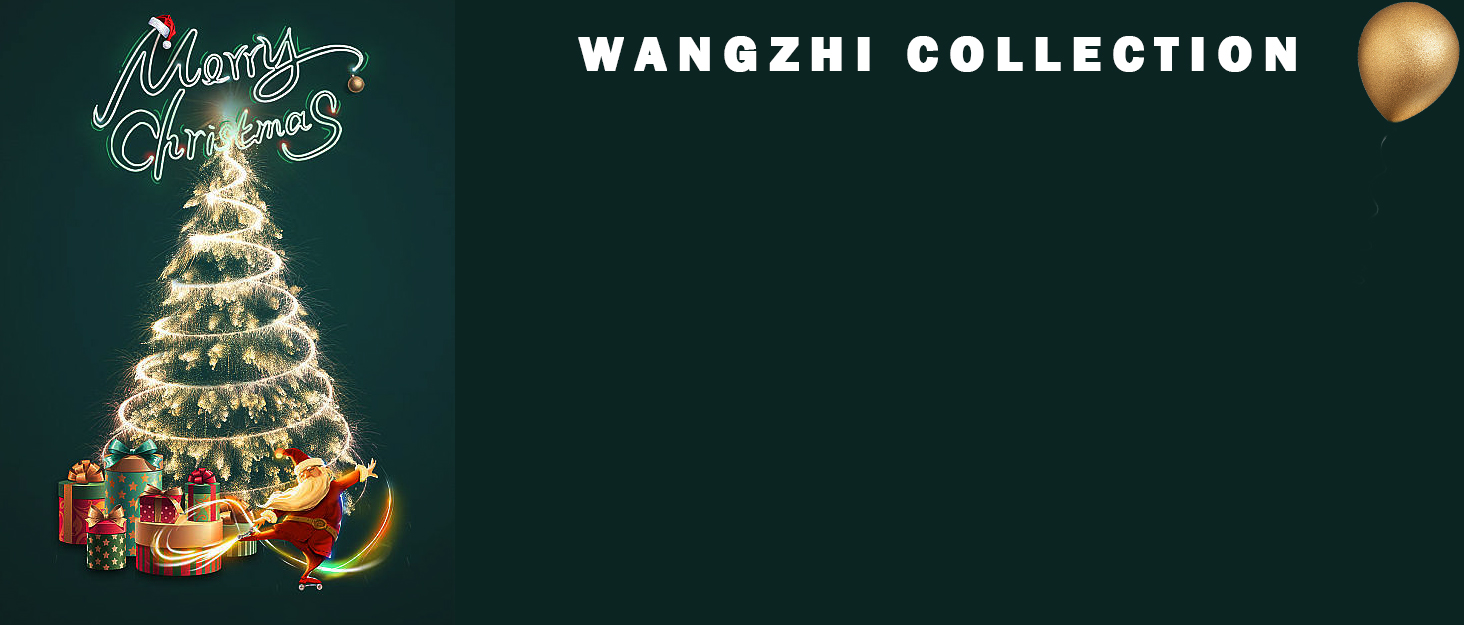 wangzhi tops for women Christmas gift