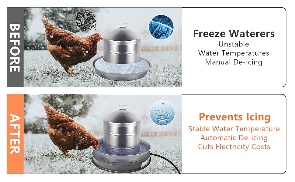 chicken water heater for winter