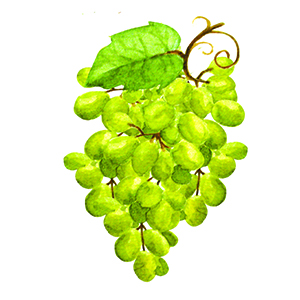 grapeseed oil, massage oil, skin, moisturizer, natural