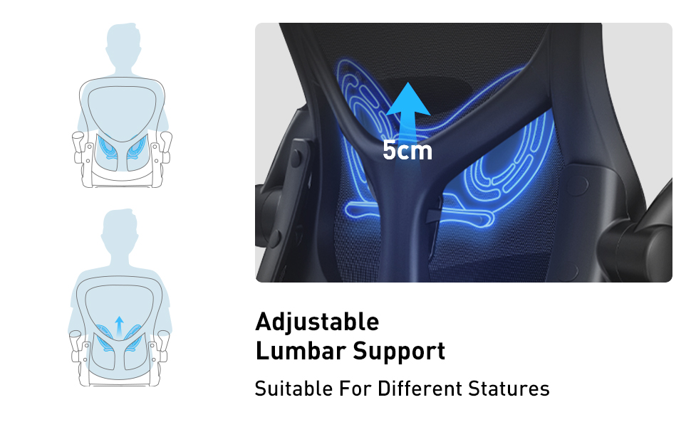 Hbada Ergonomic Desk Chair, Computer Office Chair with Flipup Armrest