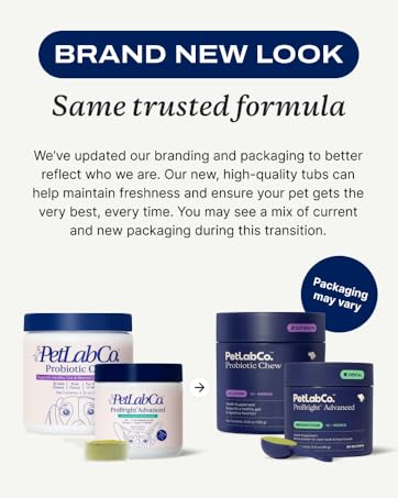 Dental Brand New look