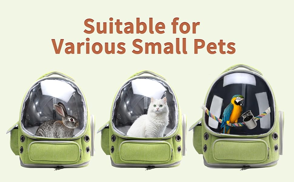 bird carrier travel cage