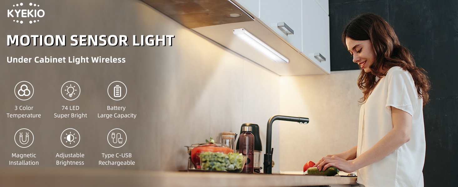 Rechargeable Magnetic Light