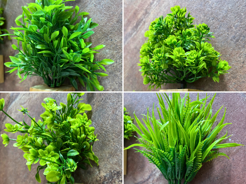 Vibrant Plants