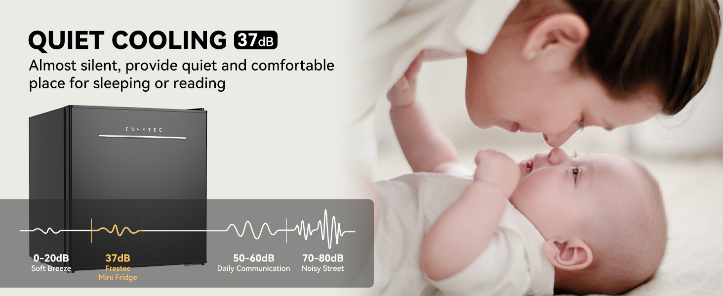 Mini Fridge with Freezer