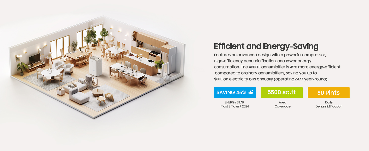 Energy Star dehumidifier