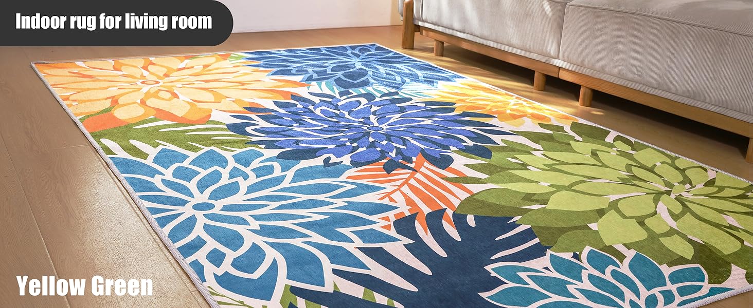 Indoor rug for living room