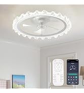 FTZVRD Ceiling Fans with Lights, 20 Inch Ceiling Fan with Light and Remote, Low Profile Reversibl...