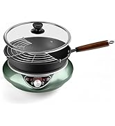 Abangdun Induction Cooktop,1700W/85V~120V Induction Burner Portable Electric Wok,13-inch Carbon S...