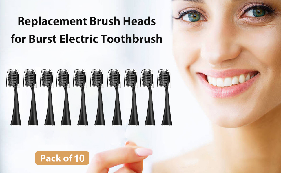 Replacement Toothbrush Heads for Burst Electric Toothbrush Adults with Dust Cover