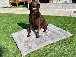 dog bed for garden