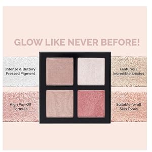 PNF PROFESSIONAL Makeup Highlighter For Face