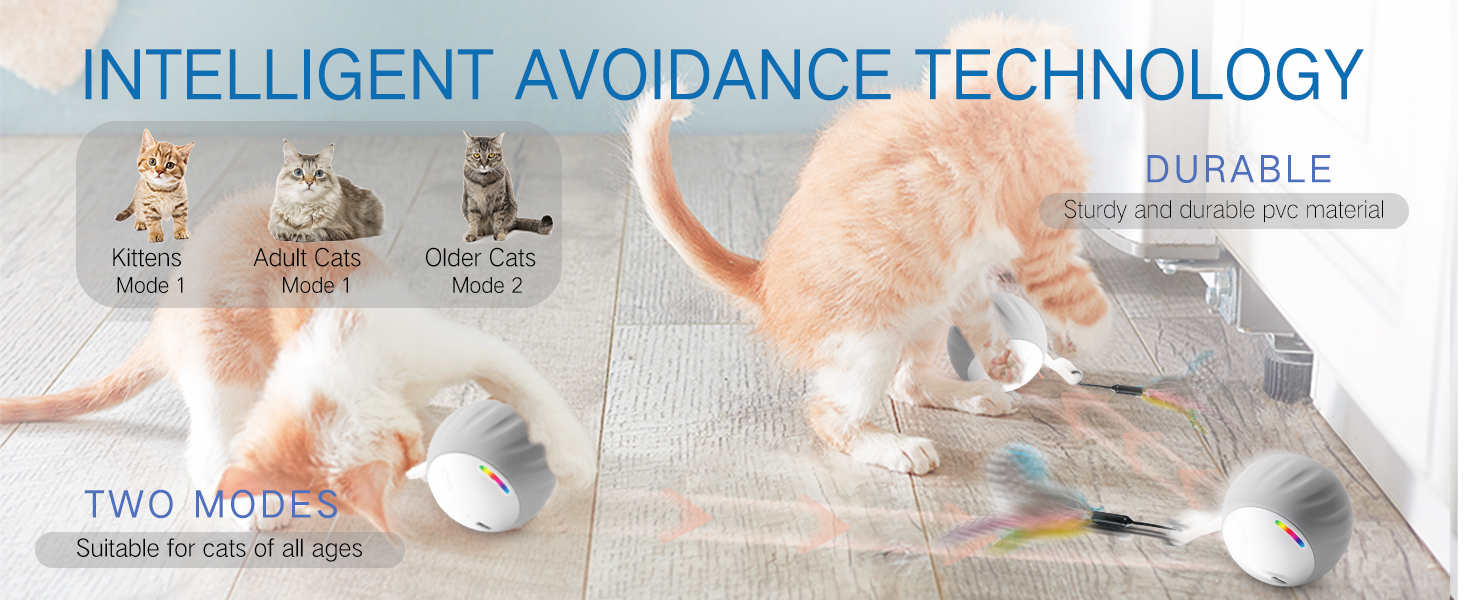 interactive Cat toys