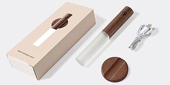 Wireless Stick-on Induction LED Lamp