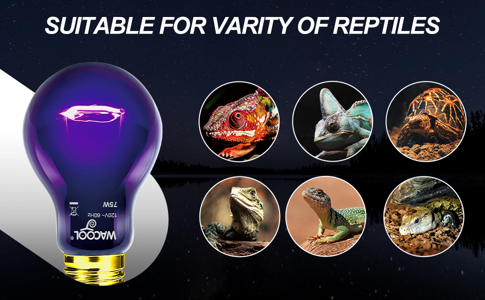 reptile heat lamp bulb