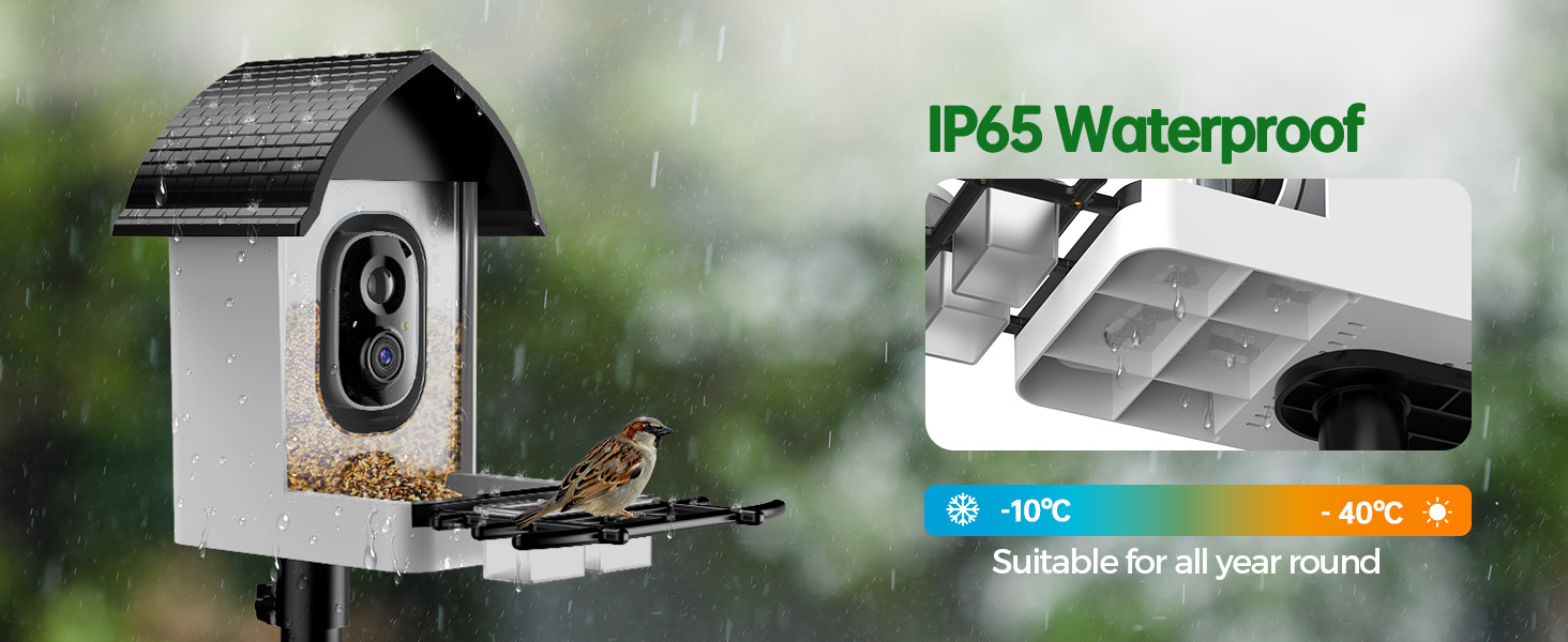 Solar Smart Bird Feeder with Camera